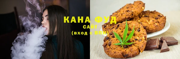 стаф Медногорск