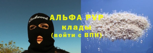 стафф Медвежьегорск