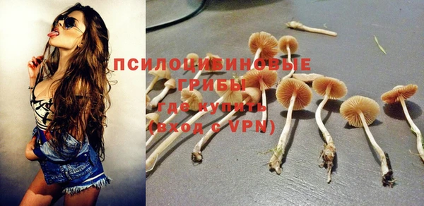 героин Тавда