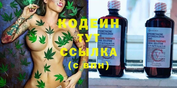 стаф Медногорск