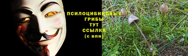 индика Одинцово